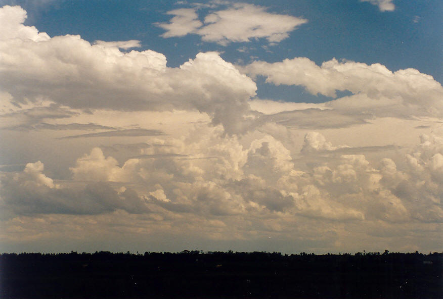 thunderstorm cumulonimbus_incus : Parrots Nest, NSW   24 January 2004