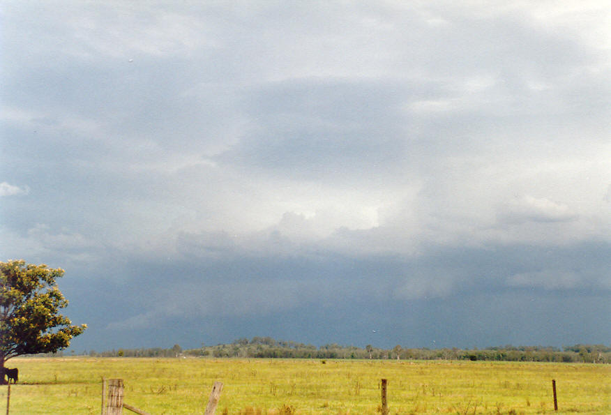 shelfcloud shelf_cloud : Coraki, NSW   24 January 2004