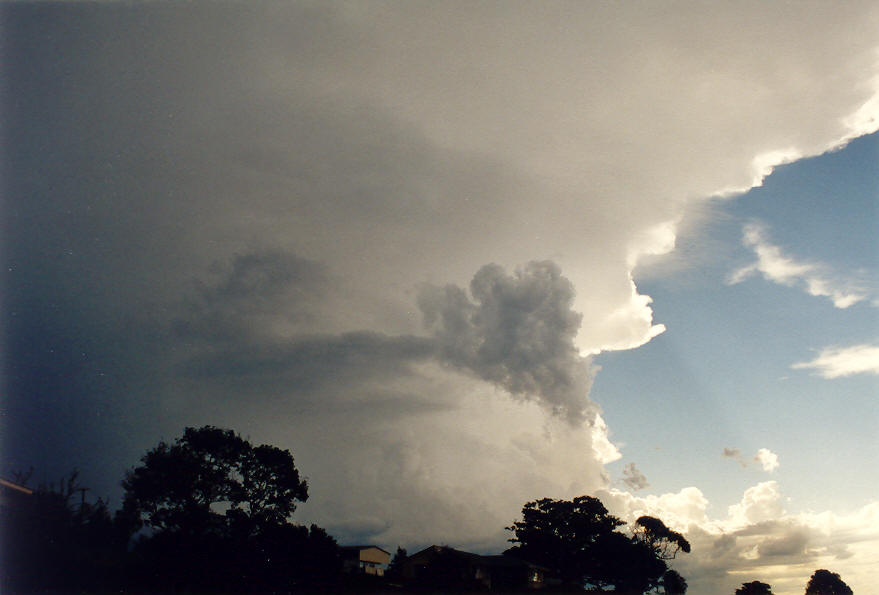 thunderstorm cumulonimbus_incus : McLeans Ridges, NSW   25 January 2004