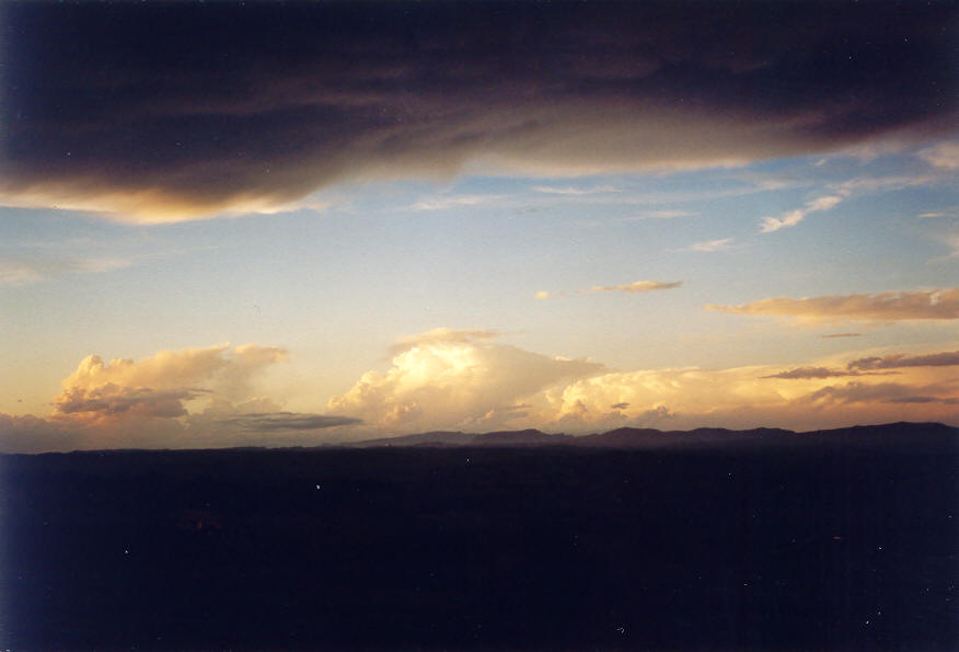 anvil thunderstorm_anvils : McLeans Ridges, NSW   26 January 2004