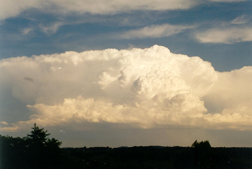 thunderstorm cumulonimbus_incus : Clunes, NSW   28 January 2004