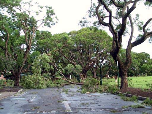 contributions received : Brisbane, QLD<BR>Photo by Heath Williamson   30 January 2004