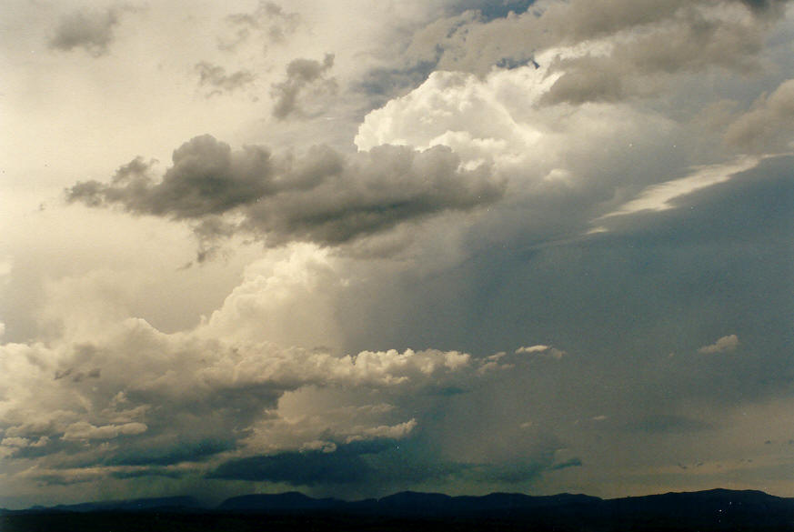 thunderstorm cumulonimbus_incus : McLeans Ridges, NSW   30 January 2004