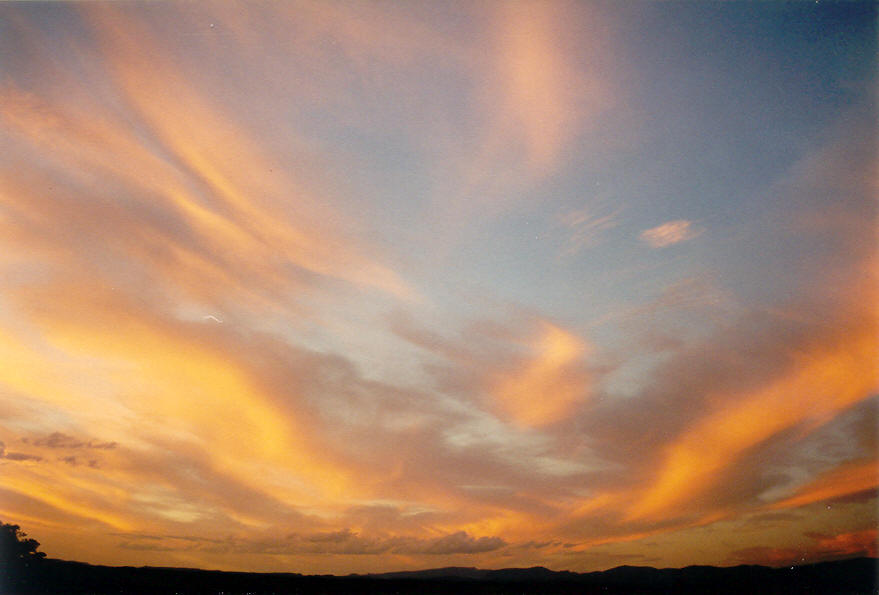 favourites michael_bath : McLeans Ridges, NSW   30 January 2004