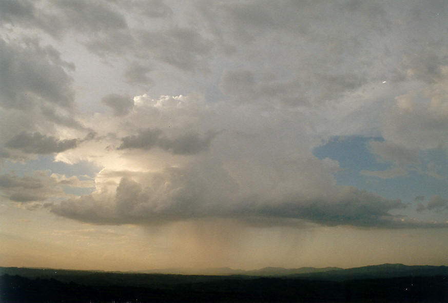 cumulus congestus : McLeans Ridges, NSW   19 February 2004