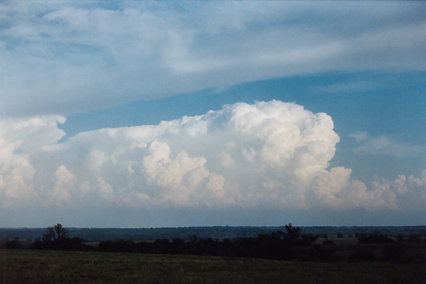 thunderstorm cumulonimbus_incus : N of Topeka, Kansas, USA   24 May 2004