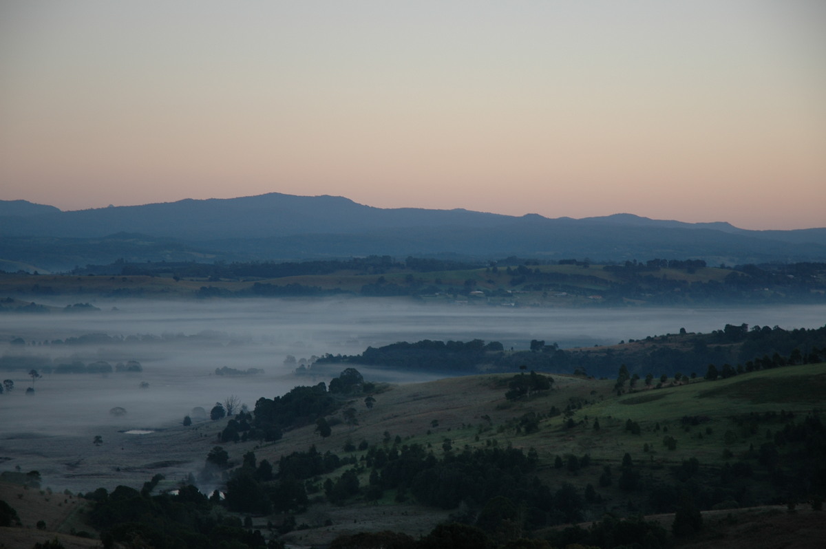 fogmist fog_mist_frost : McLeans Ridges, NSW   2 July 2004