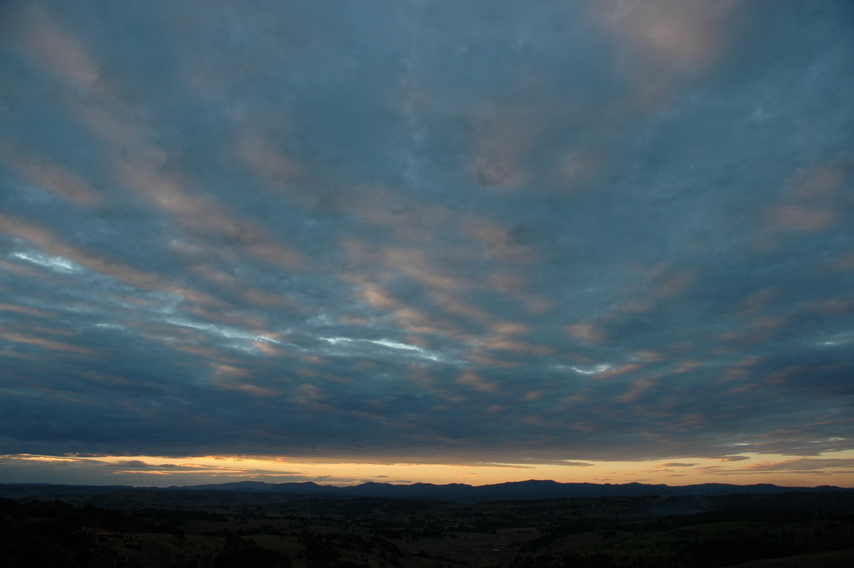 altocumulus mackerel_sky : McLeans Ridges, NSW   4 July 2004