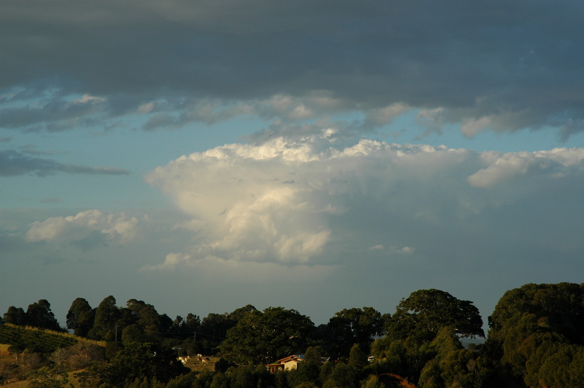 cumulus congestus : McLeans Ridges, NSW   12 July 2004