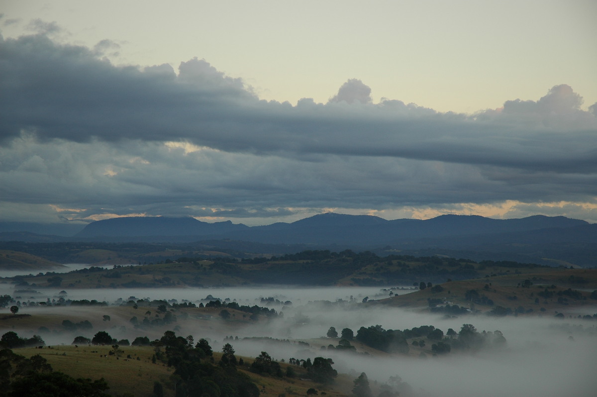 fogmist fog_mist_frost : McLeans Ridges, NSW   13 July 2004