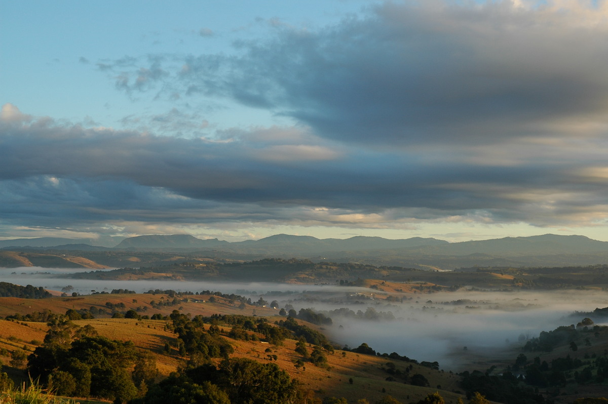 fogmist fog_mist_frost : McLeans Ridges, NSW   13 July 2004