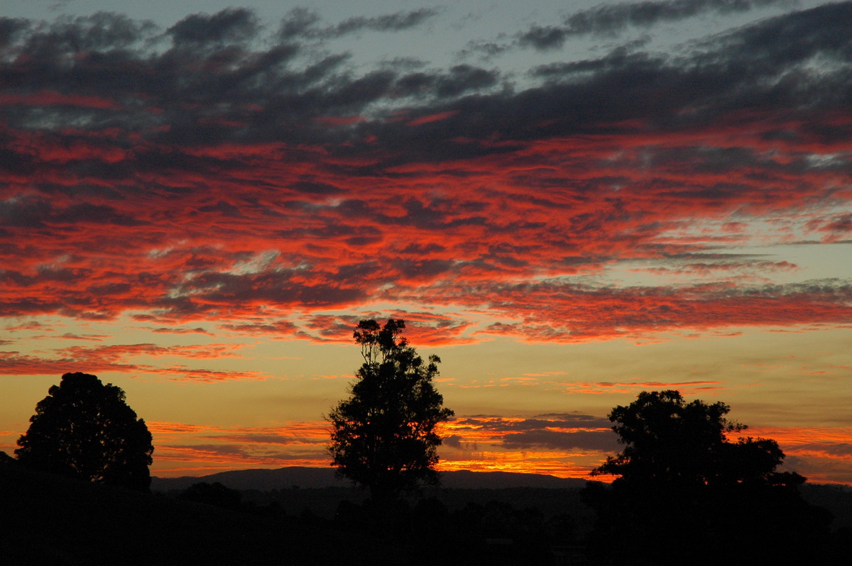 sunset sunset_pictures : McLeans Ridges, NSW   13 July 2004