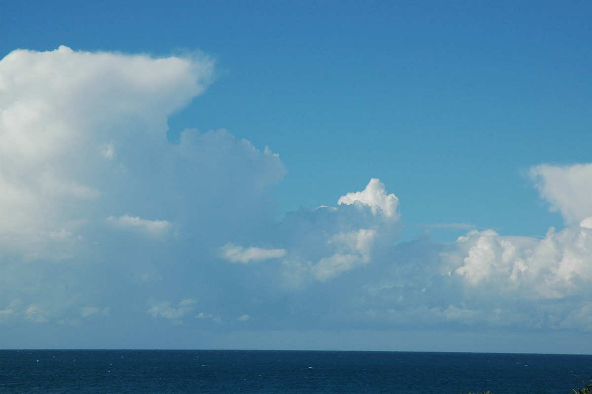 thunderstorm cumulonimbus_calvus : Cabarita, NSW   15 July 2004