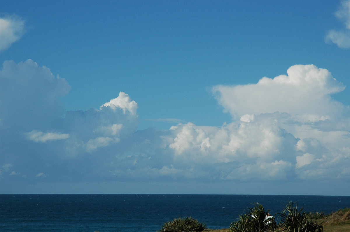 thunderstorm cumulonimbus_calvus : Cabarita, NSW   15 July 2004