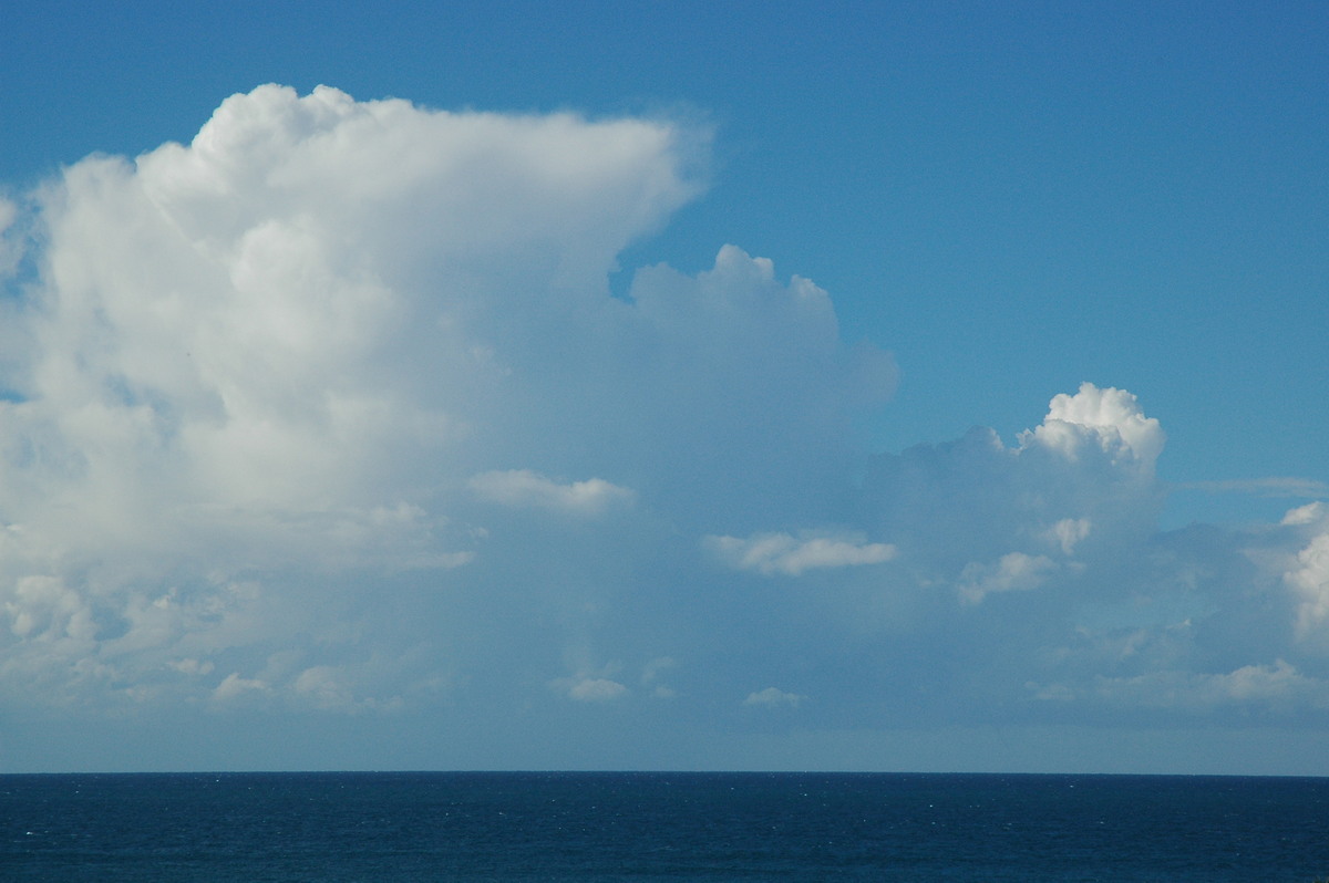 thunderstorm cumulonimbus_calvus : Cabarita, NSW   15 July 2004