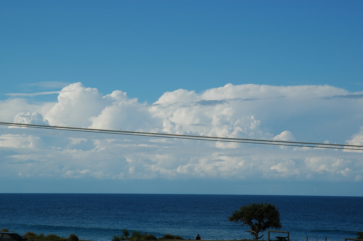 thunderstorm cumulonimbus_calvus : Cabarita, NSW   16 July 2004