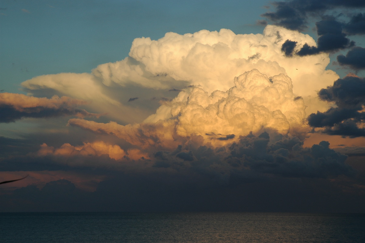 updraft thunderstorm_updrafts : Cabarita, NSW   17 July 2004