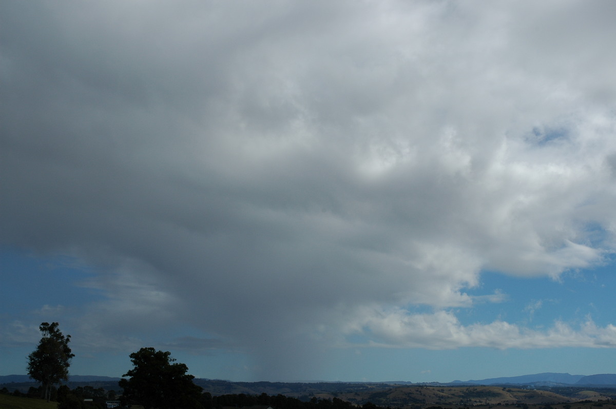 raincascade precipitation_cascade : McLeans Ridges, NSW   19 July 2004