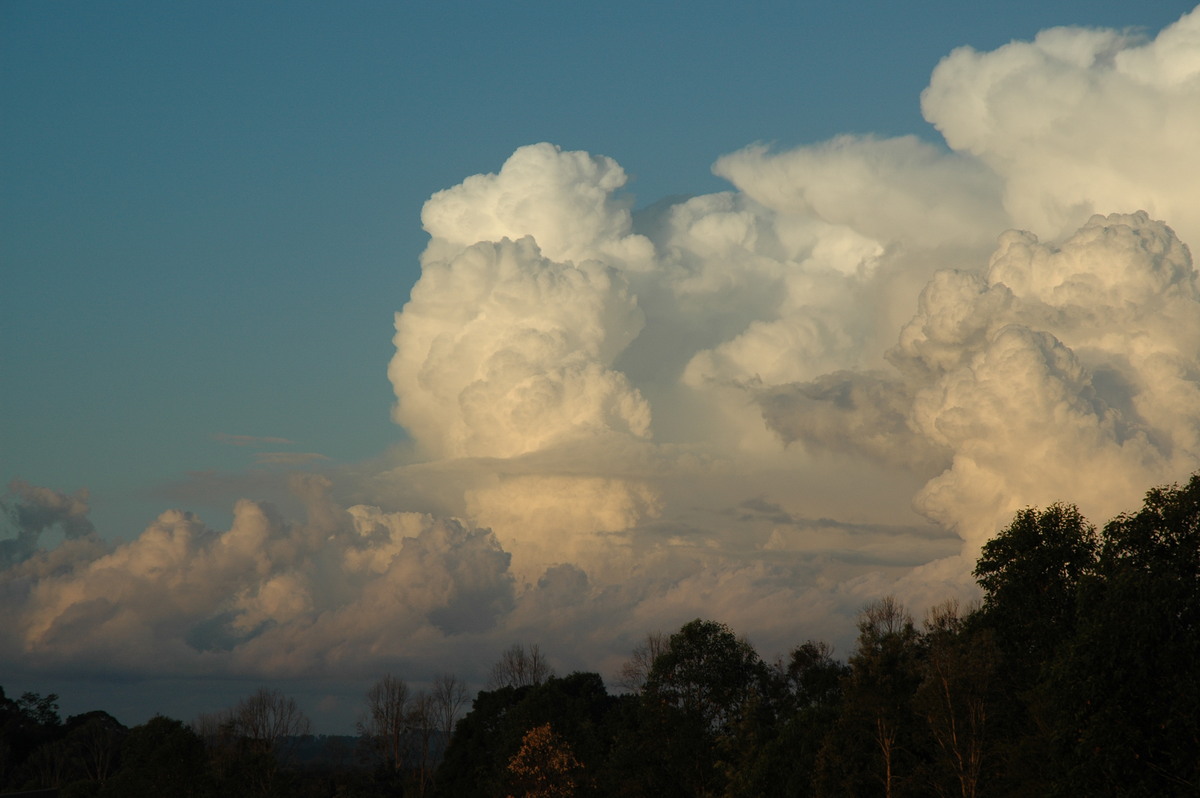 thunderstorm cumulonimbus_calvus : McLeans Ridges, NSW   29 July 2004