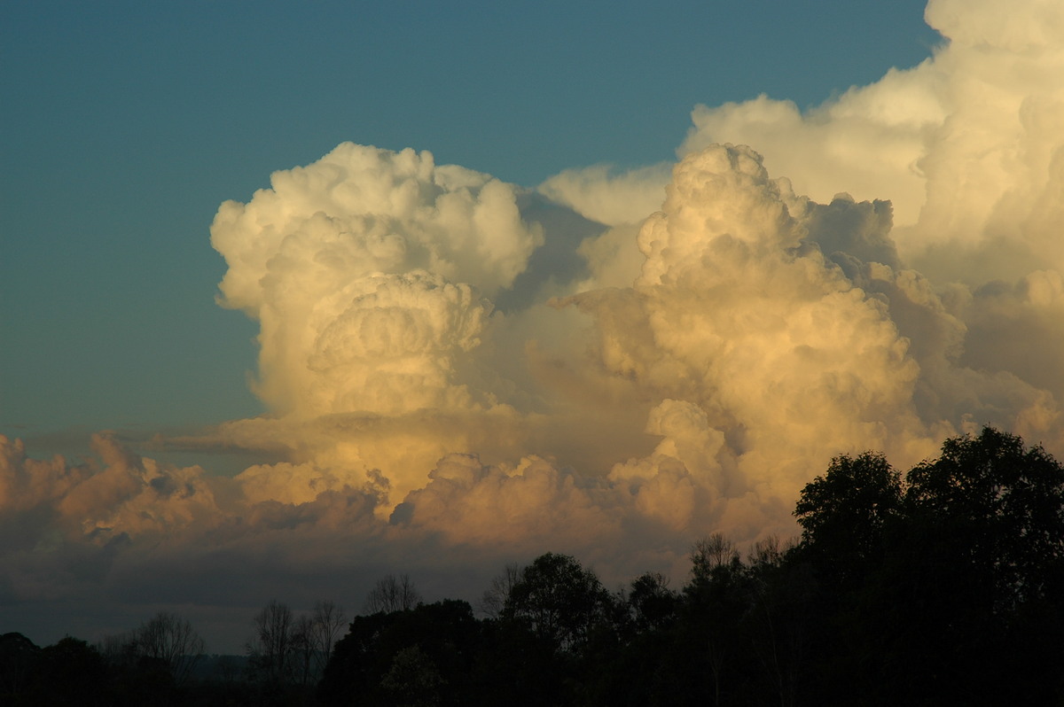 thunderstorm cumulonimbus_calvus : McLeans Ridges, NSW   29 July 2004