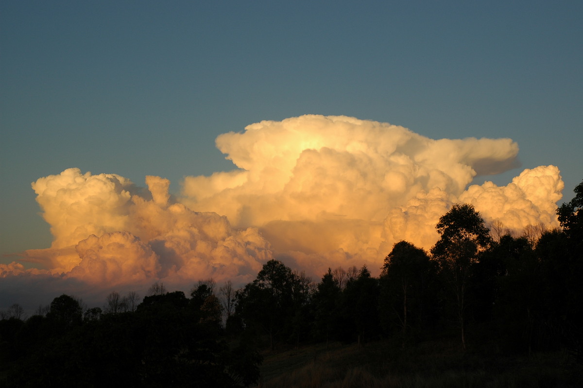 thunderstorm cumulonimbus_calvus : McLeans Ridges, NSW   29 July 2004