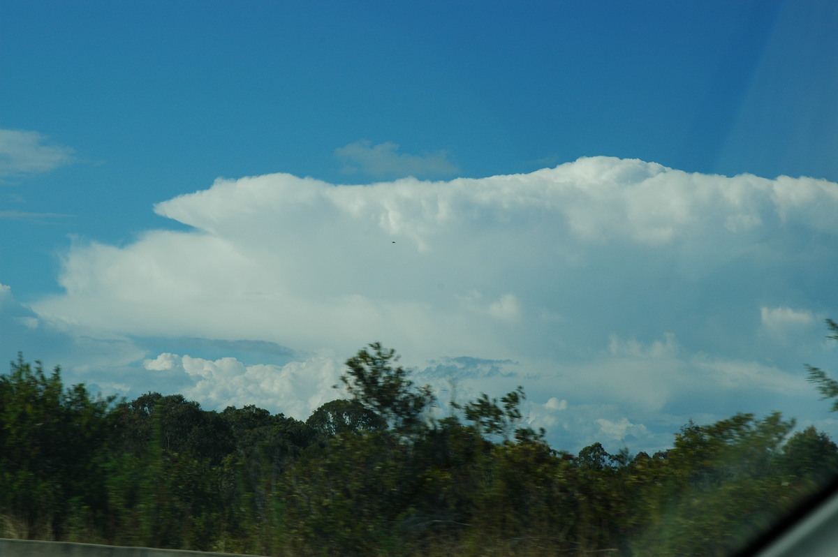 thunderstorm cumulonimbus_incus : Tweed Coast, NSW   30 July 2004