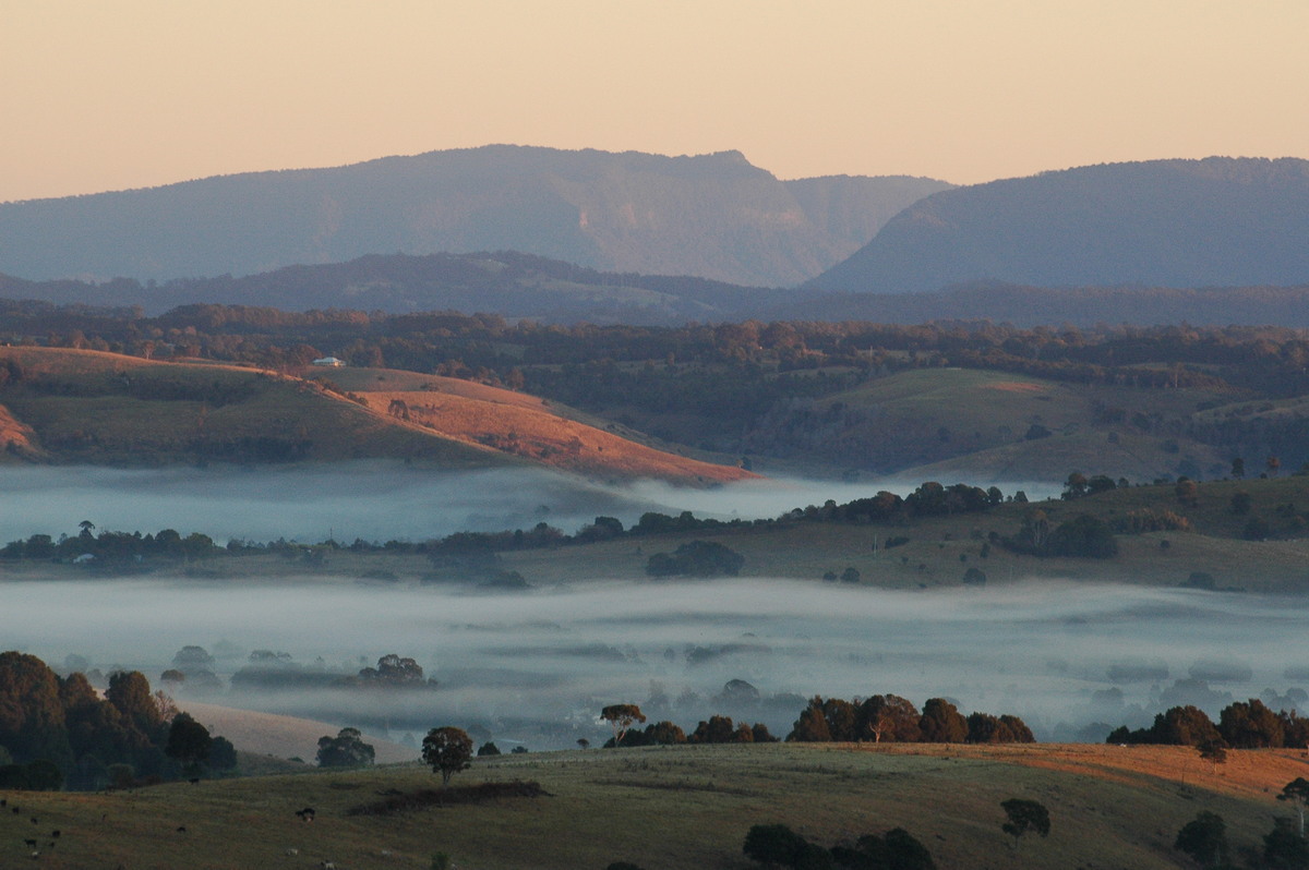 fogmist fog_mist_frost : McLeans Ridges, NSW   10 August 2004