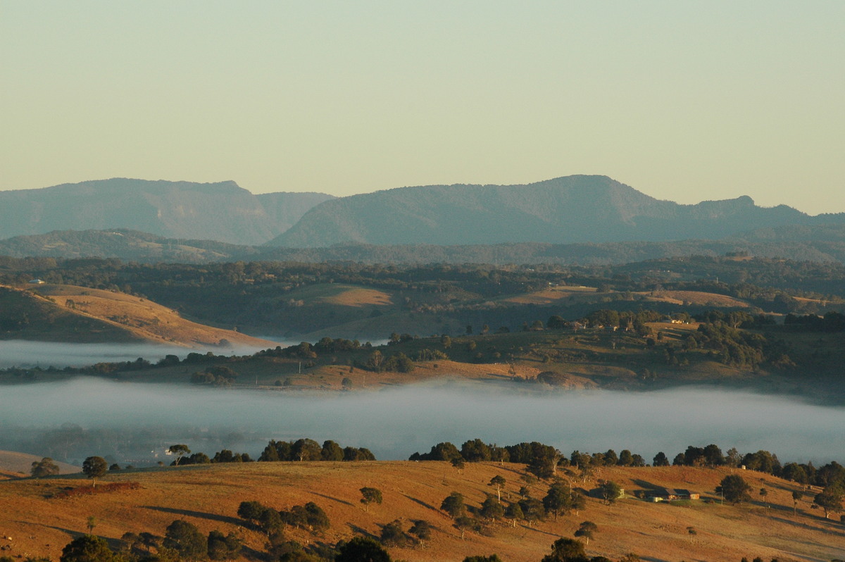 fogmist fog_mist_frost : McLeans Ridges, NSW   10 August 2004