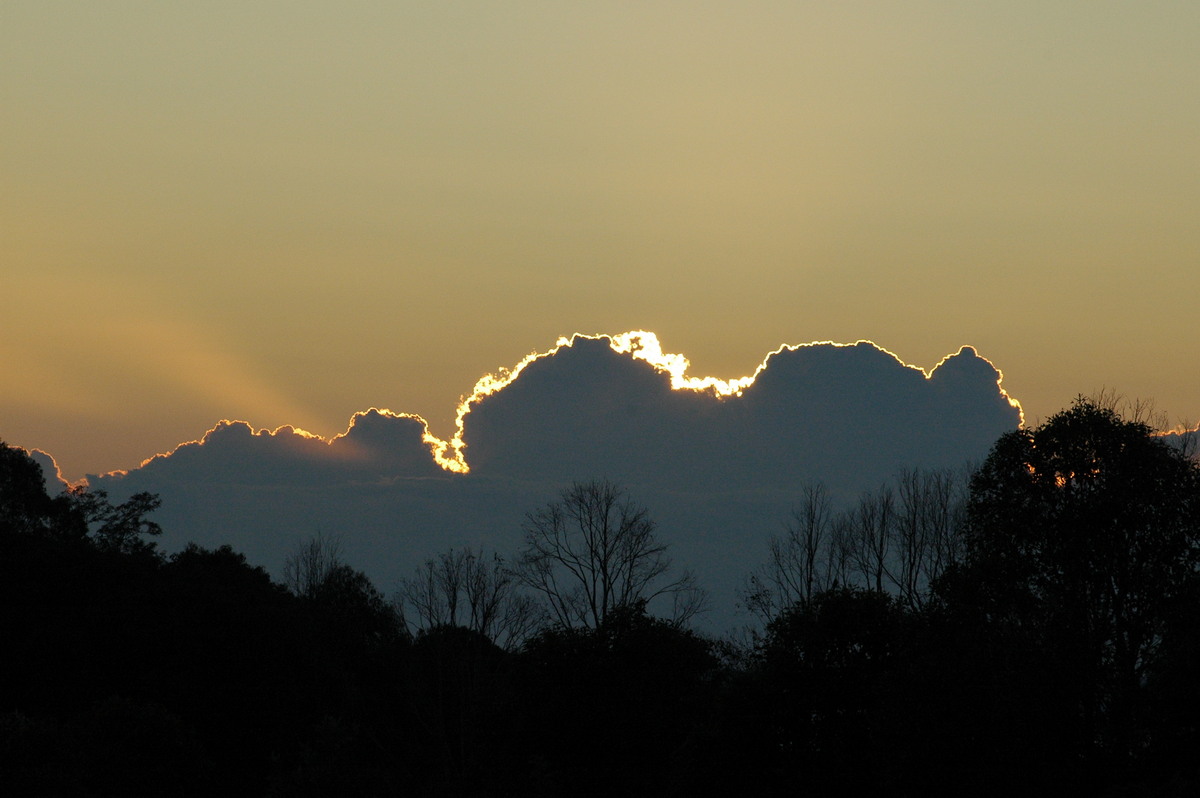 cumulus mediocris : McLeans Ridges, NSW   12 August 2004