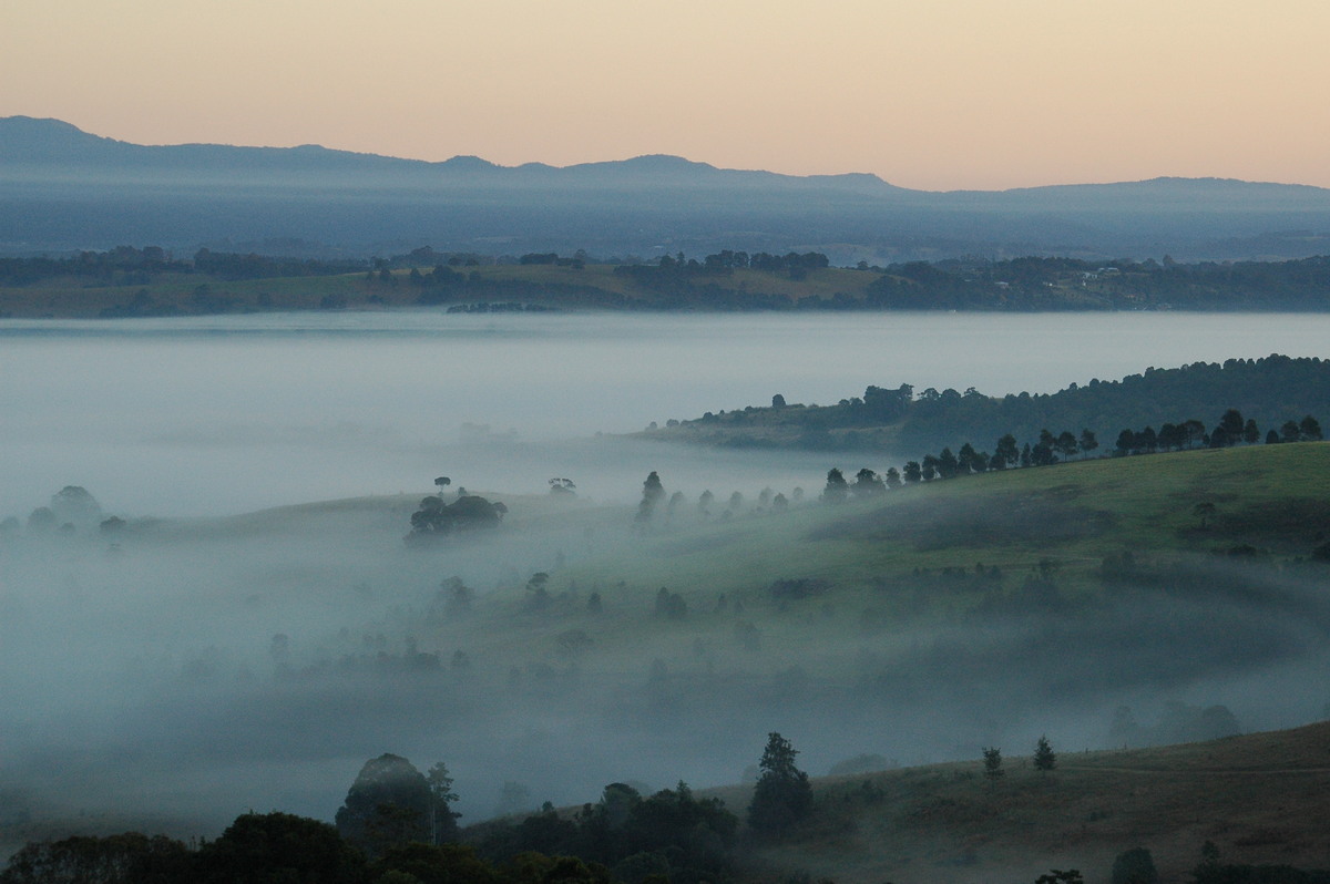 fogmist fog_mist_frost : McLeans Ridges, NSW   12 August 2004