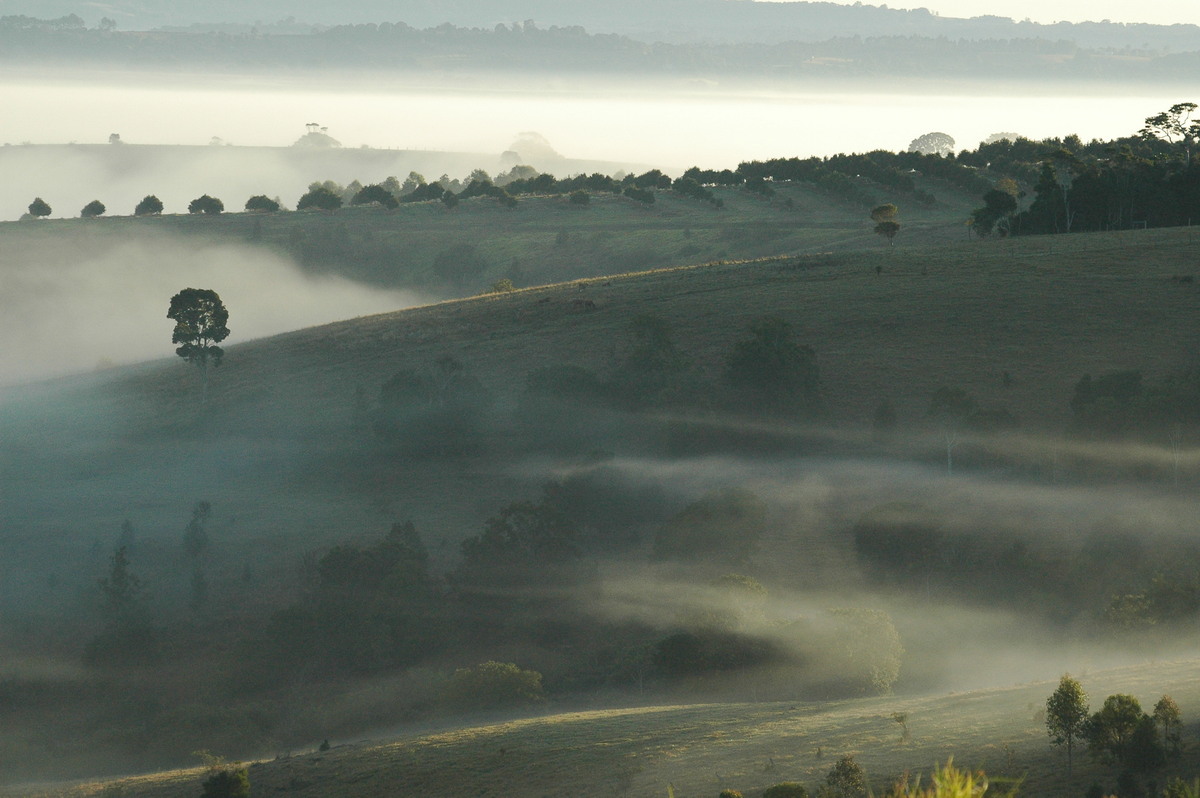 favourites michael_bath : McLeans Ridges, NSW   12 August 2004