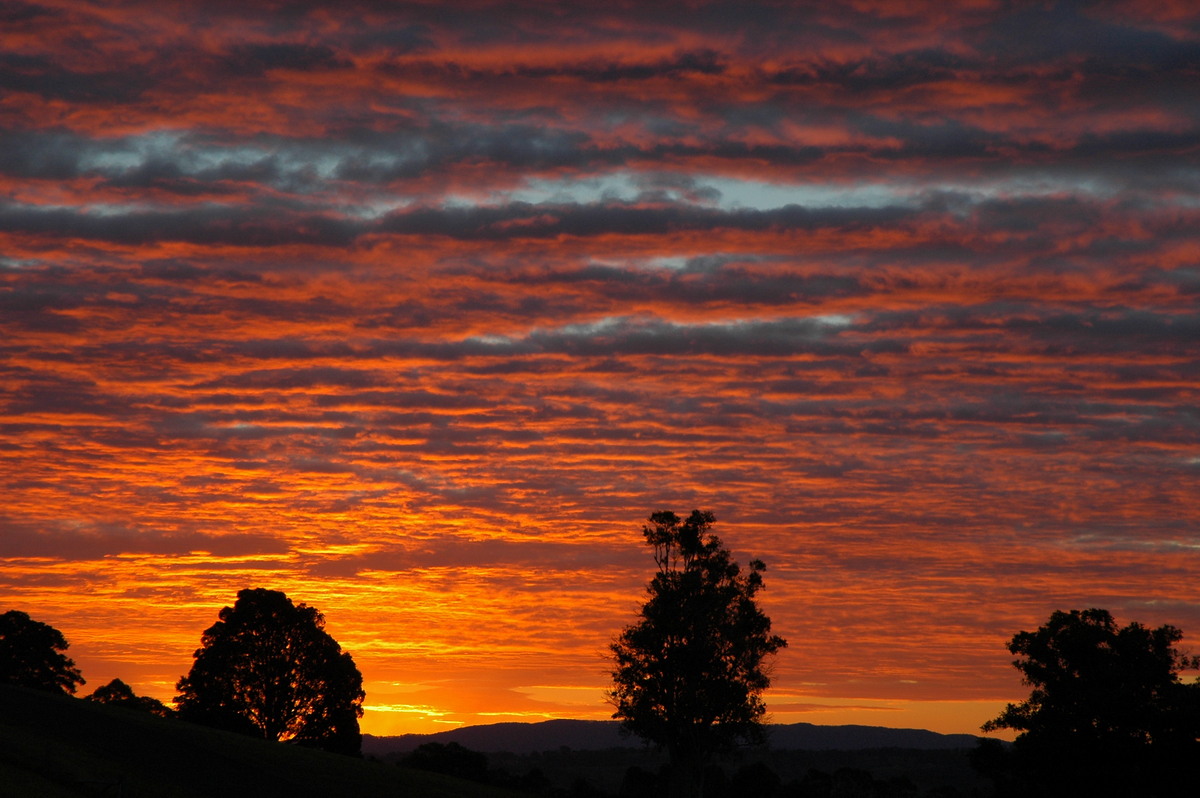 sunset sunset_pictures : McLeans Ridges, NSW   15 August 2004