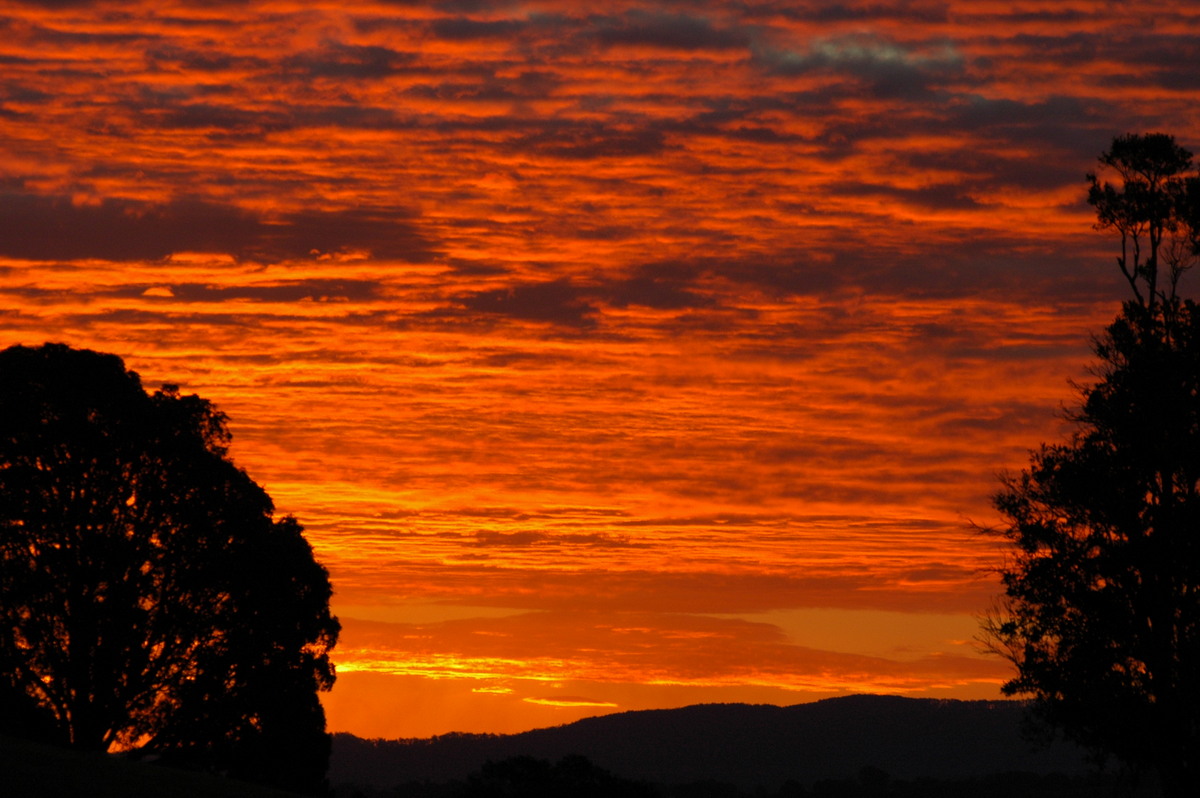 sunset sunset_pictures : McLeans Ridges, NSW   15 August 2004