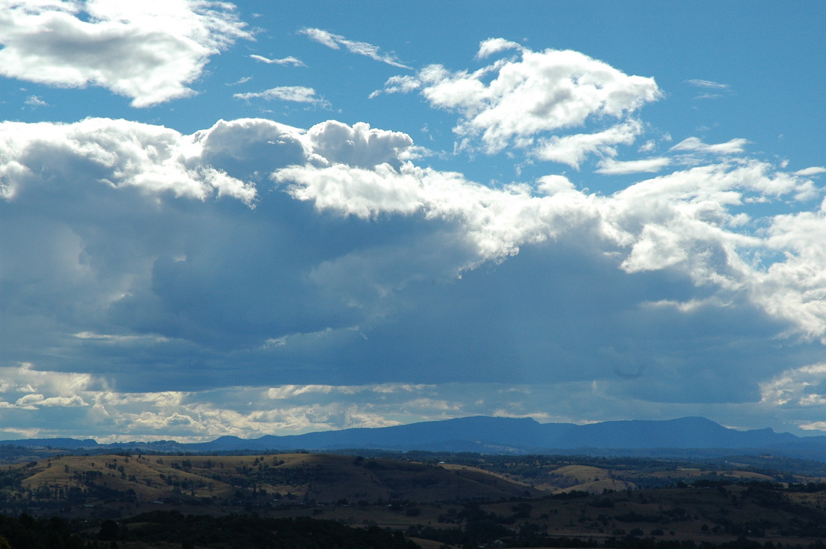 pileus pileus_cap_cloud : McLeans Ridges, NSW   18 August 2004