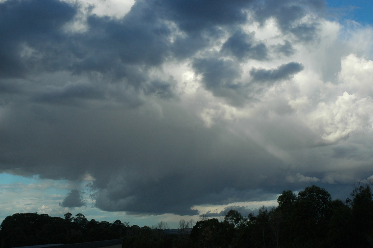 cumulus congestus : McLeans Ridges, NSW   18 August 2004