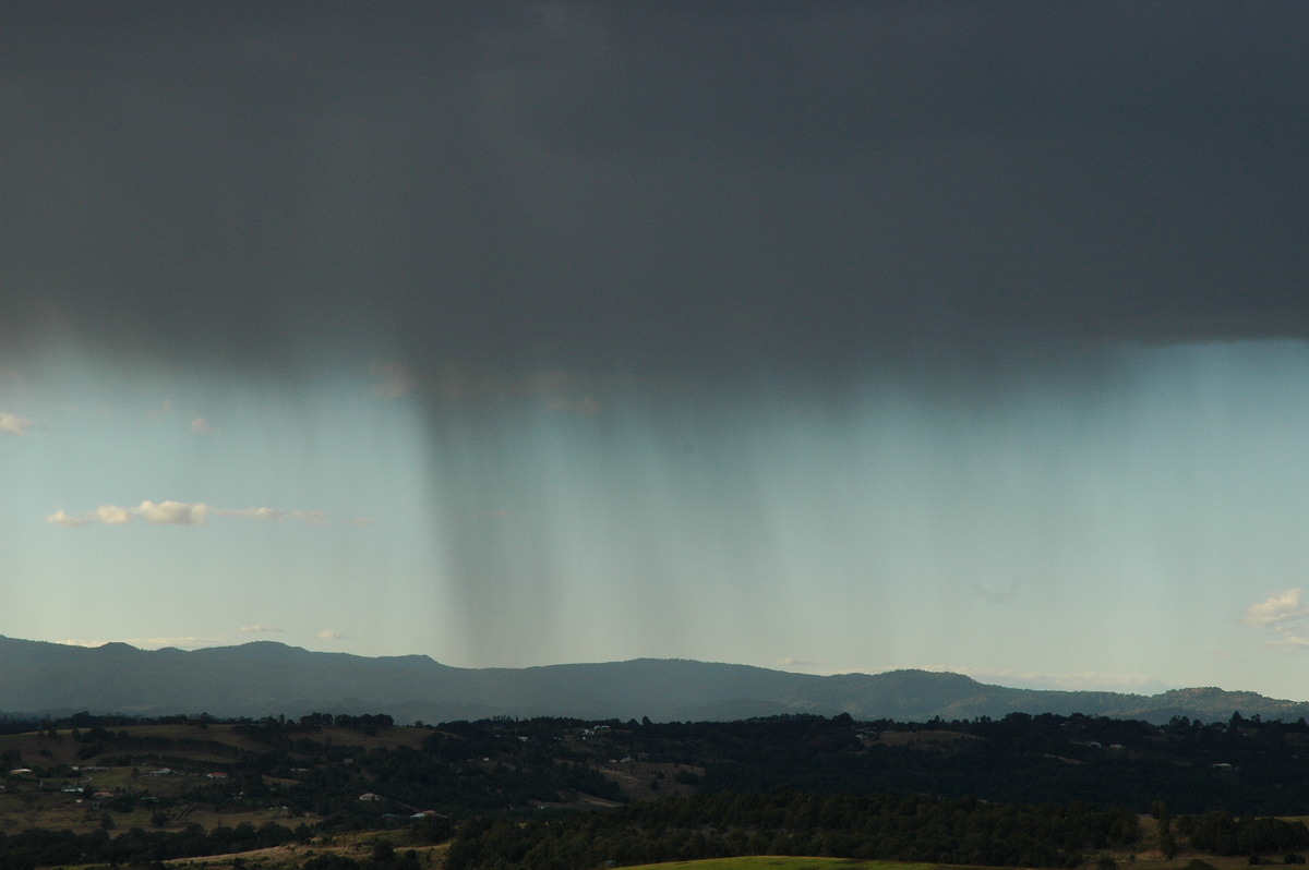 favourites michael_bath : McLeans Ridges, NSW   18 August 2004