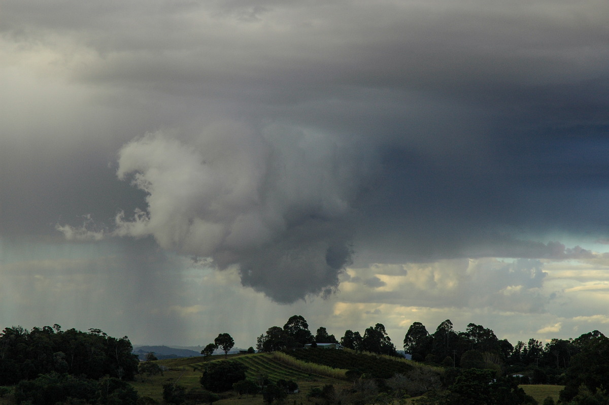 cumulonimbus thunderstorm_base : McLeans Ridges, NSW   18 August 2004