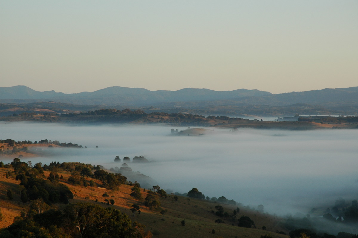 fogmist fog_mist_frost : McLeans Ridges, NSW   27 August 2004