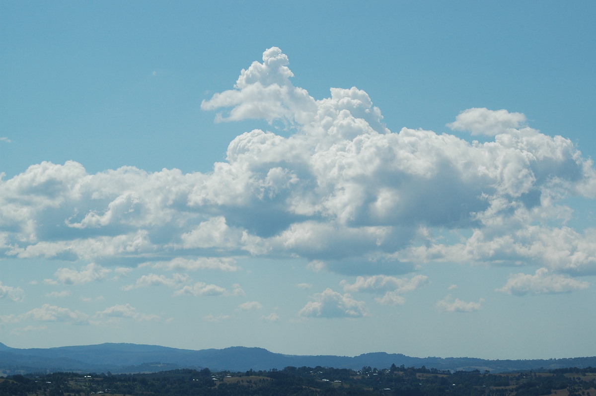 cumulus mediocris : McLeans Ridges, NSW   27 August 2004