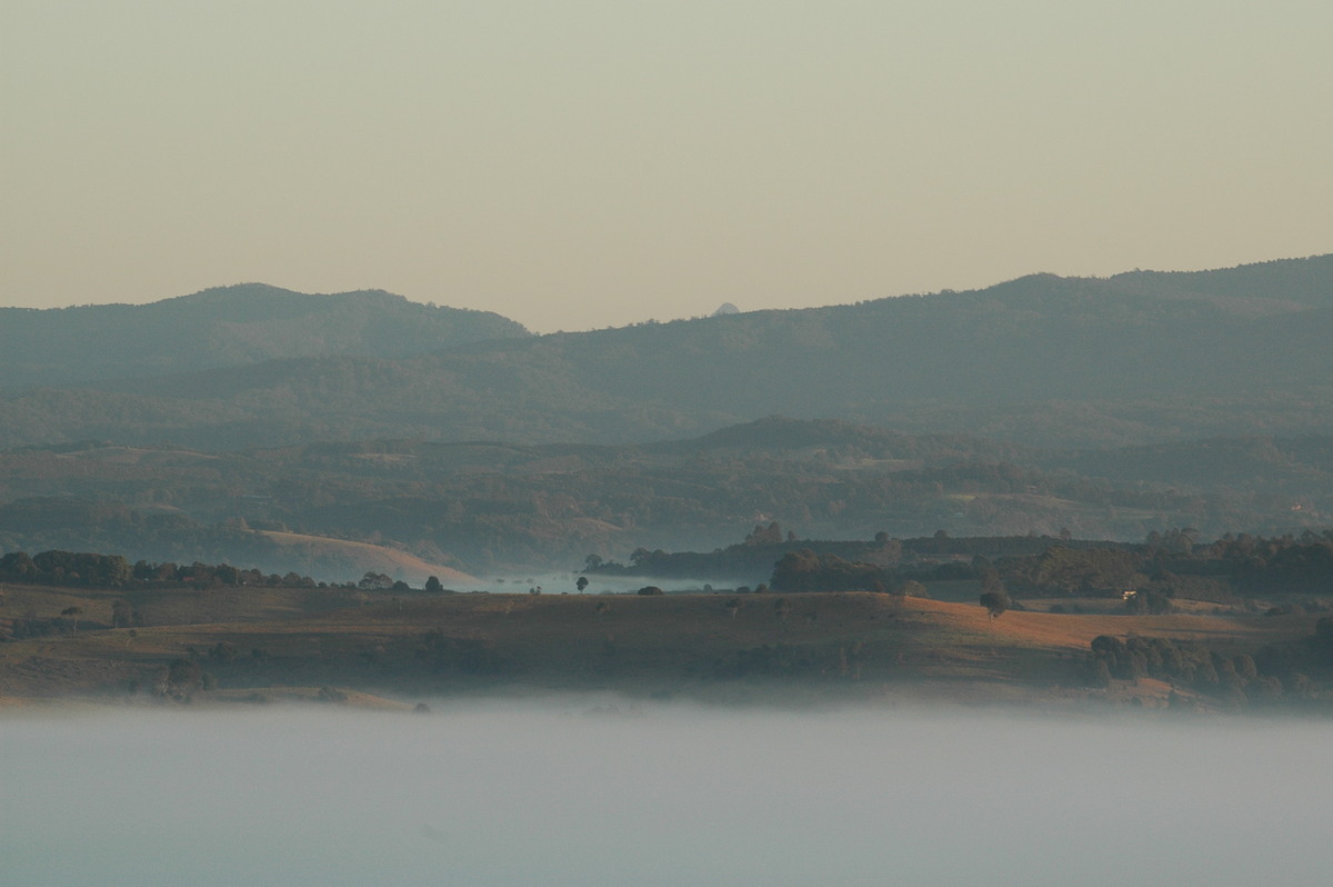 fogmist fog_mist_frost : McLeans Ridges, NSW   28 August 2004