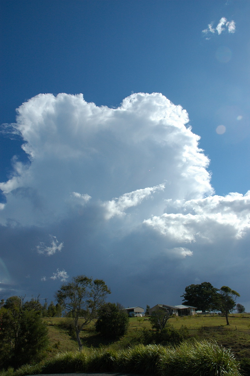 thunderstorm cumulonimbus_calvus : McLeans Ridges, NSW   4 September 2004