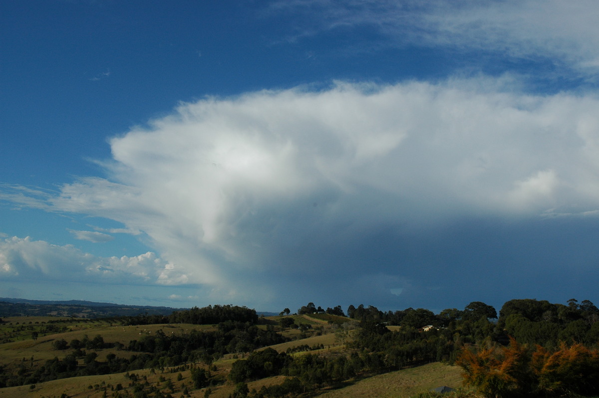 anvil thunderstorm_anvils : McLeans Ridges, NSW   5 September 2004