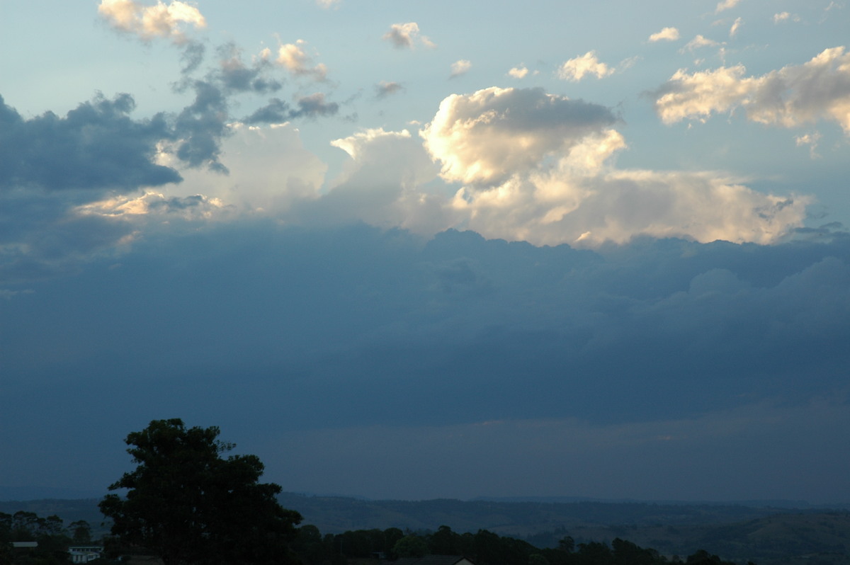 cumulus congestus : McLeans Ridges, NSW   1 October 2004