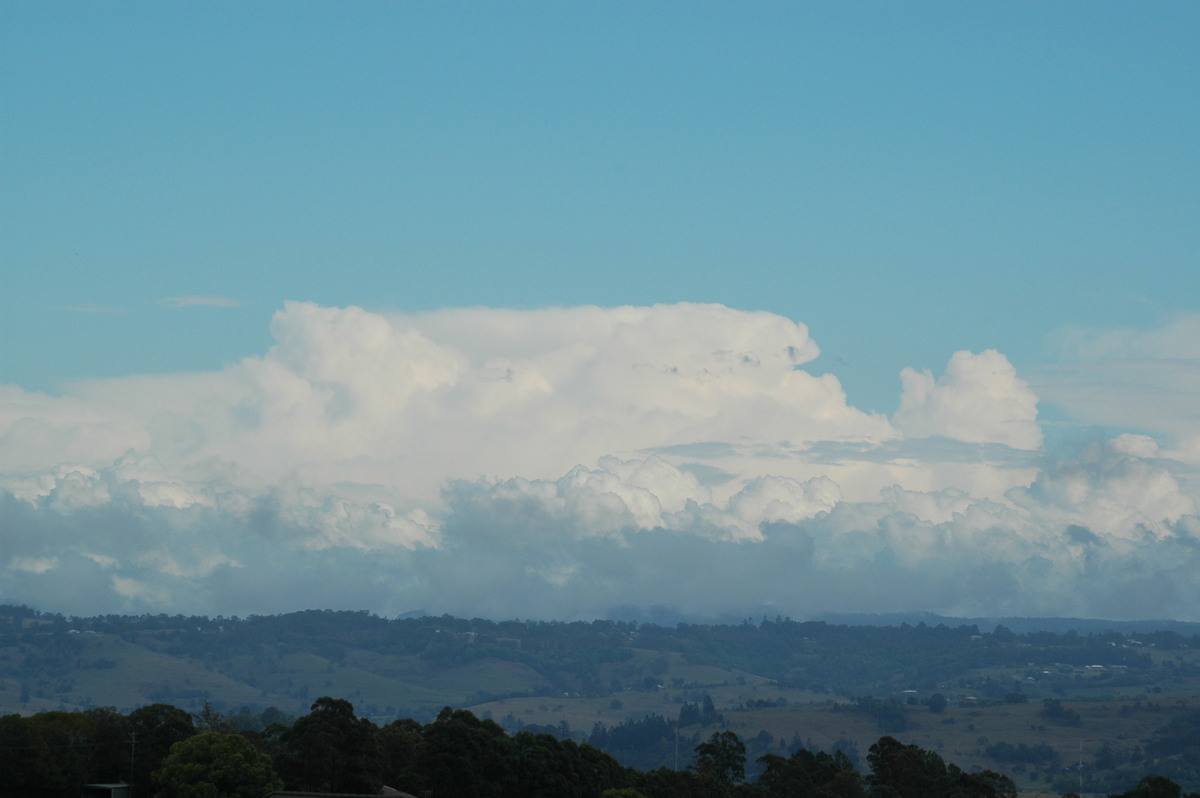 thunderstorm cumulonimbus_calvus : McLeans Ridges, NSW   21 October 2004