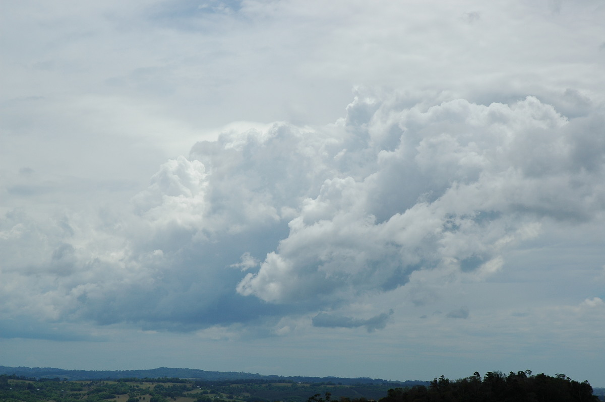 pileus pileus_cap_cloud : McLeans Ridges, NSW   21 October 2004