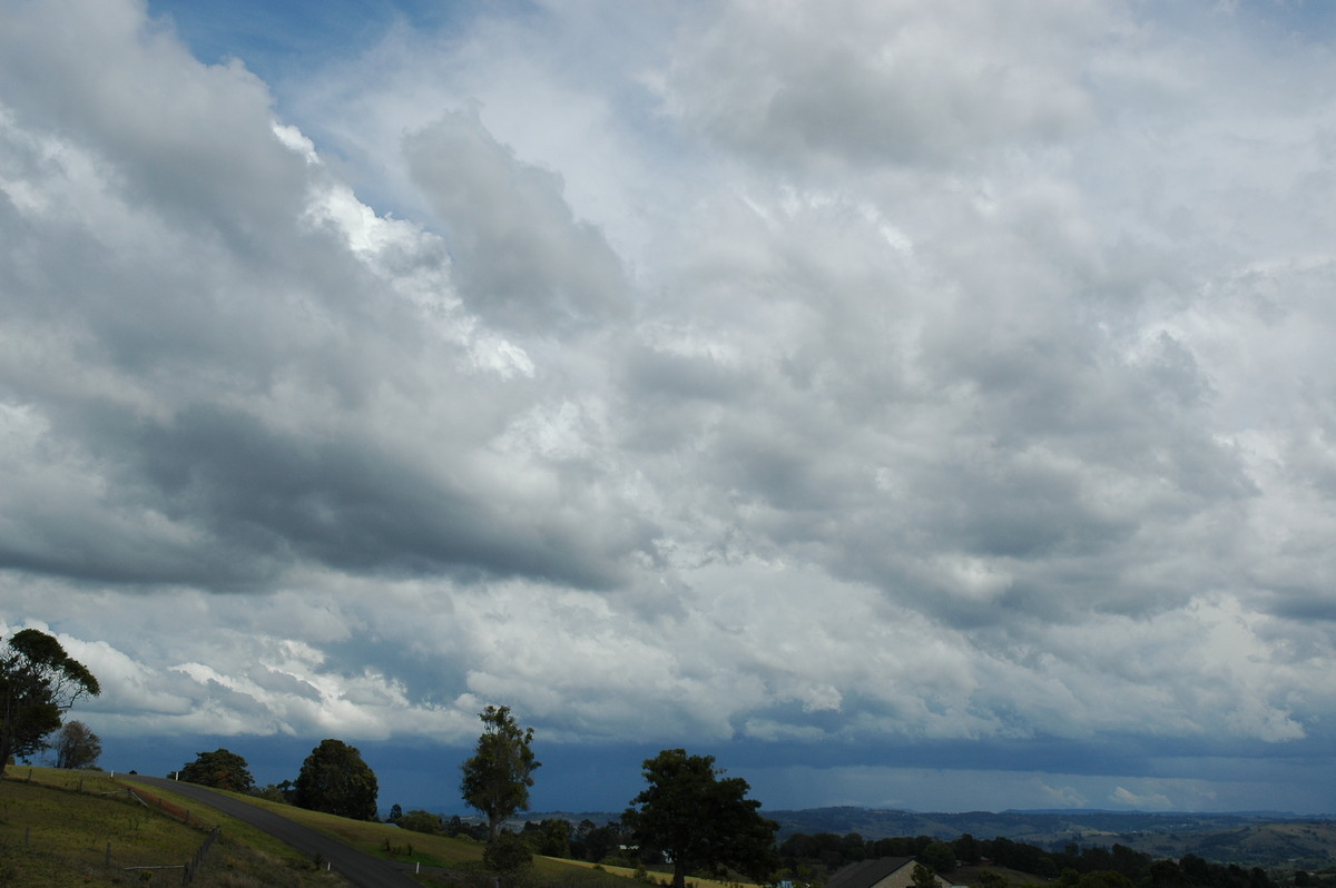 cumulus mediocris : McLeans Ridges, NSW   21 October 2004