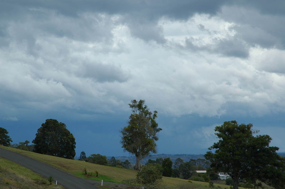 cumulonimbus thunderstorm_base : McLeans Ridges, NSW   21 October 2004