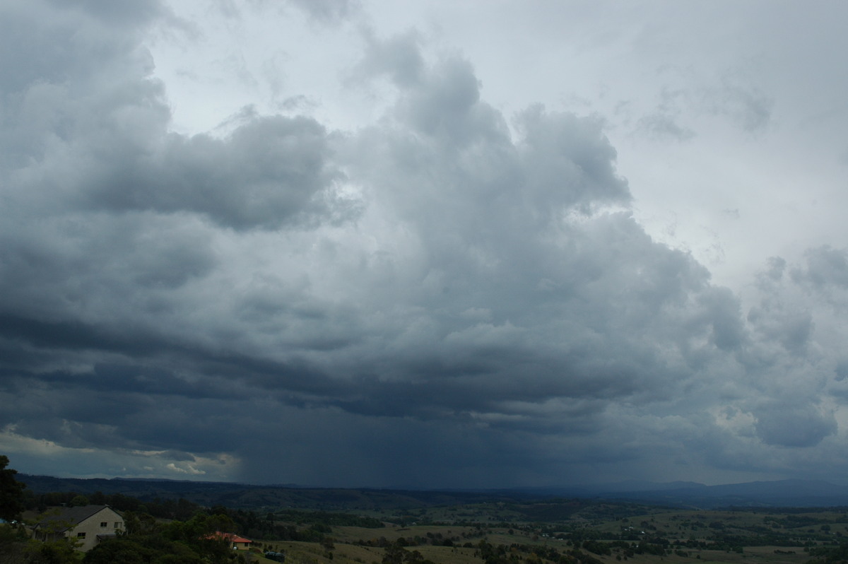 cumulus congestus : McLeans Ridges, NSW   21 October 2004