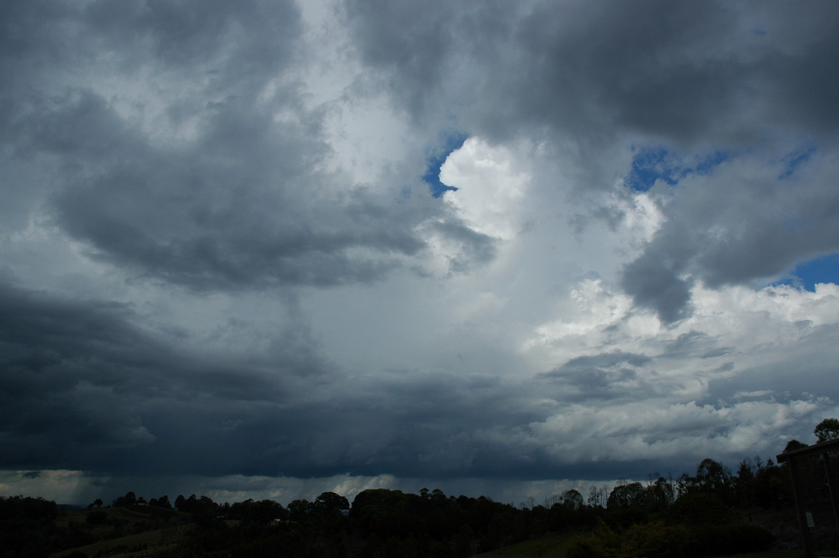 cumulonimbus thunderstorm_base : McLeans Ridges, NSW   21 October 2004