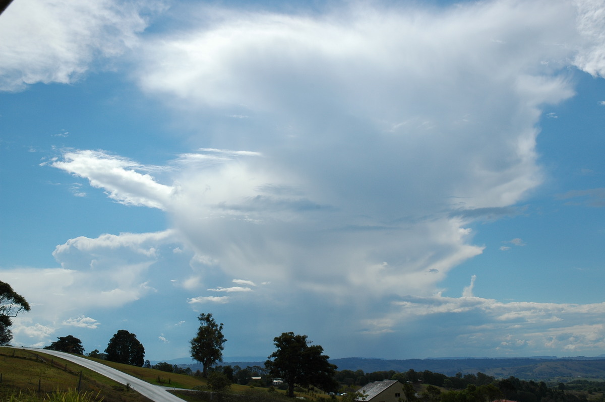 anvil thunderstorm_anvils : McLeans Ridges, NSW   21 October 2004